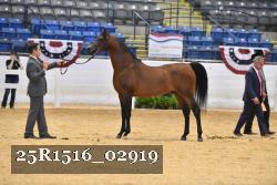 25R1516_02919 thumbnail