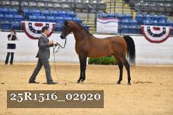 25R1516_02920 thumbnail