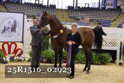 25R1516_02923 thumbnail