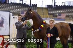 25R1516_02925 thumbnail