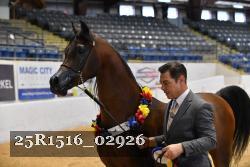 25R1516_02926 thumbnail