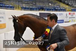 25R1516_02927 thumbnail