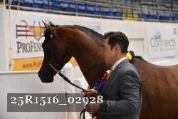 25R1516_02928 thumbnail