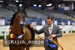 25R1516_02930 thumbnail