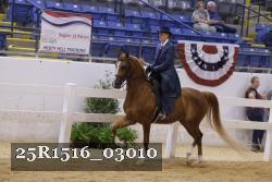 25R1516_03010 thumbnail