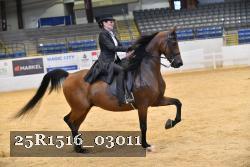 25R1516_03011 thumbnail