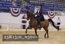 25R1516_03012 thumbnail