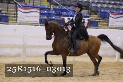 25R1516_03013 thumbnail