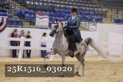 25R1516_03020 thumbnail