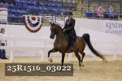 25R1516_03022 thumbnail