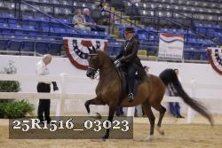 25R1516_03023 thumbnail
