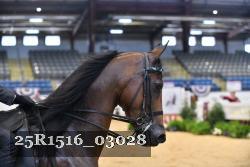 25R1516_03028 thumbnail