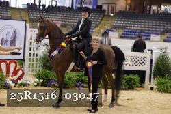 25R1516_03047 thumbnail