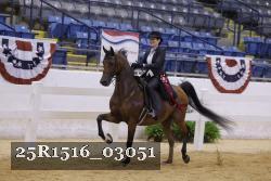 25R1516_03051 thumbnail