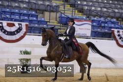 25R1516_03052 thumbnail