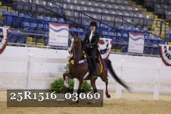 25R1516_03060 thumbnail