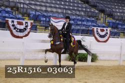 25R1516_03063 thumbnail