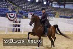 25R1516_03159 thumbnail