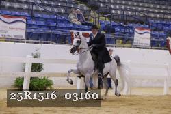 25R1516_03160 thumbnail