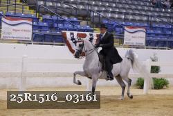 25R1516_03161 thumbnail