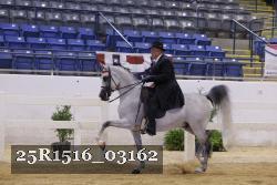 25R1516_03162 thumbnail