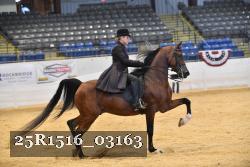 25R1516_03163 thumbnail