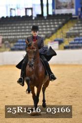 25R1516_03166 thumbnail
