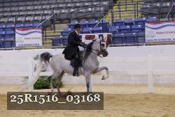 25R1516_03168 thumbnail
