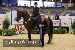 25R1516_03171 thumbnail