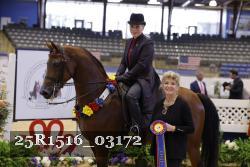 25R1516_03172 thumbnail