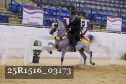 25R1516_03173 thumbnail