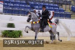 25R1516_03174 thumbnail