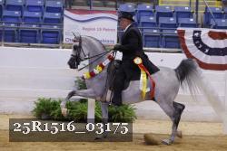 25R1516_03175 thumbnail