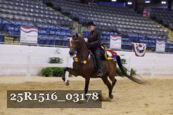 25R1516_03178 thumbnail