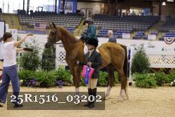 25R1516_03202 thumbnail