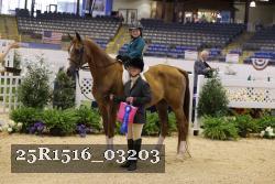 25R1516_03203 thumbnail