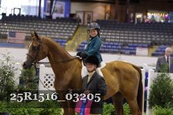 25R1516_03205 thumbnail