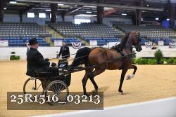 25R1516_03213 thumbnail