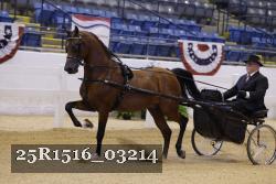 25R1516_03214 thumbnail