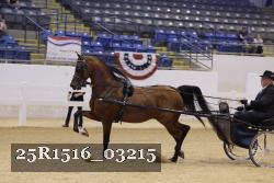 25R1516_03215 thumbnail