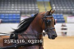 25R1516_03216 thumbnail