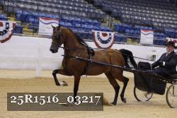 25R1516_03217 thumbnail