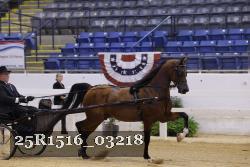 25R1516_03218 thumbnail