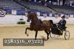 25R1516_03223 thumbnail