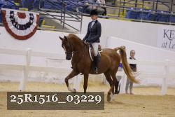 25R1516_03229 thumbnail