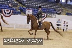 25R1516_03230 thumbnail