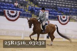 25R1516_03232 thumbnail