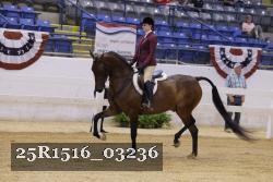 25R1516_03236 thumbnail