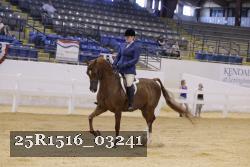 25R1516_03241 thumbnail