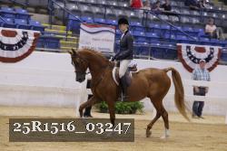25R1516_03247 thumbnail